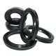 Oil seals