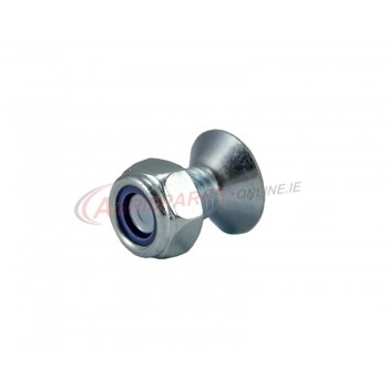 Fahr Screw C/W 12mm Lock Nut  M1225DIN+N