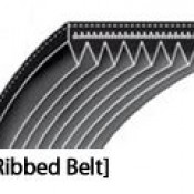Ribbed Belts