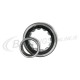 NU300 ROLLER BEARING